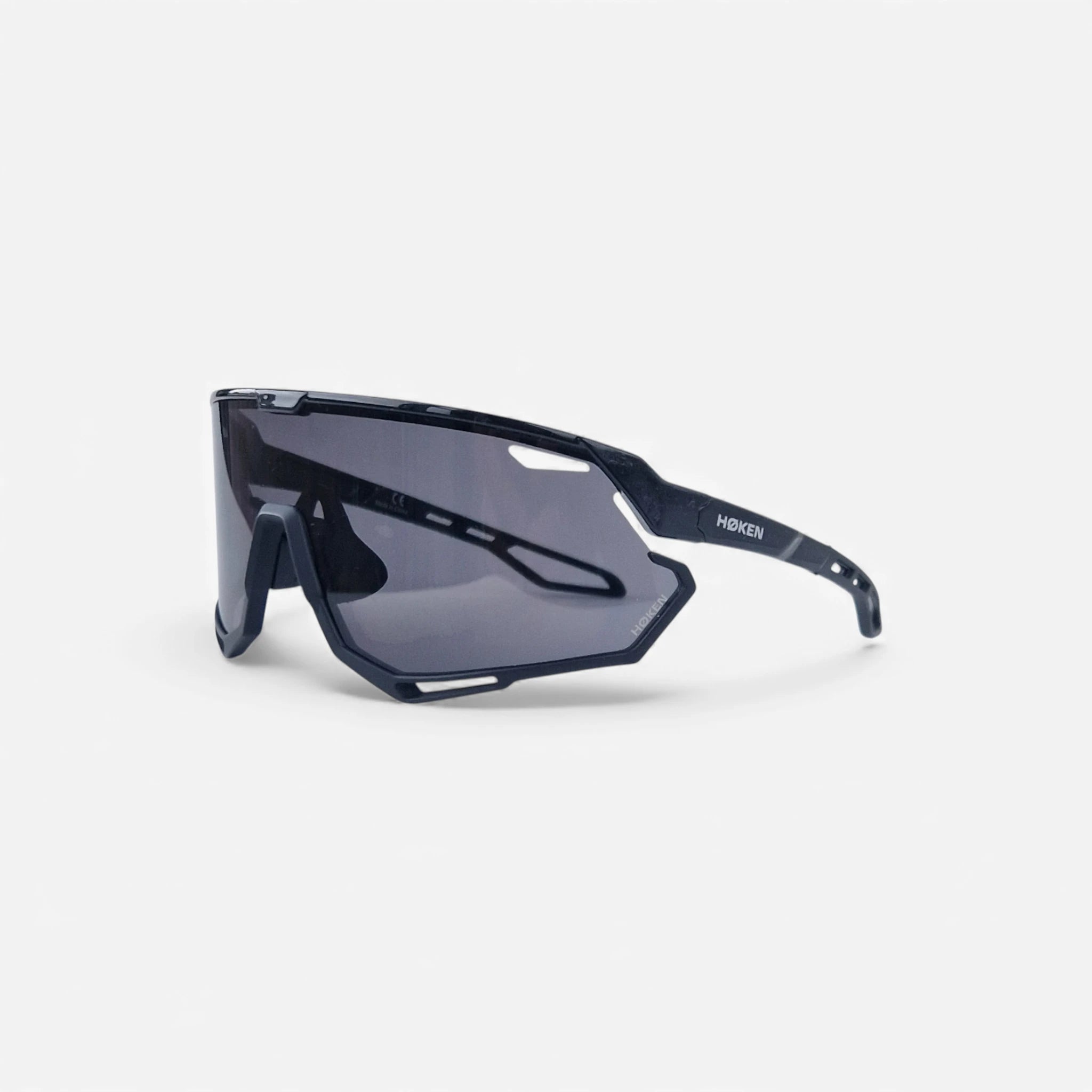 Phantom Black Sunglasses